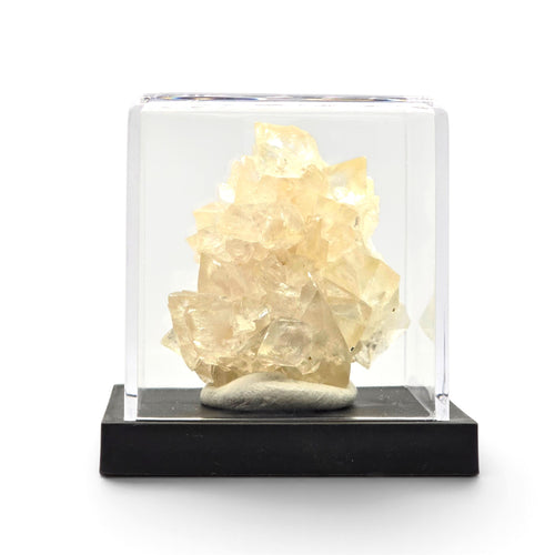 Pale honey calcite cluster shown inside a clear protective display cover on a black base