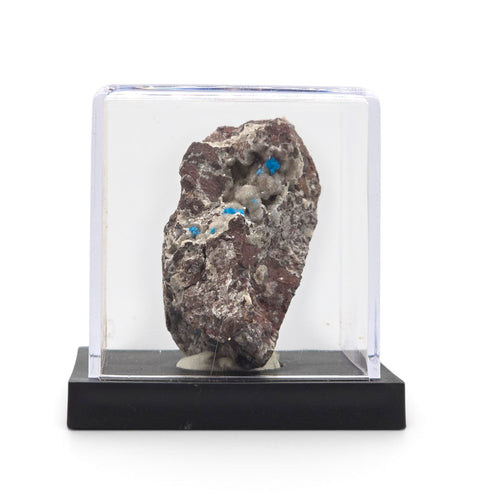 Cavansite matrix specimen shown upright beneath a clear protective display cover
