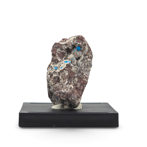 Front view of bright blue cavansite rosettes in gray cavities on reddish-brown matrix mounted on a black base