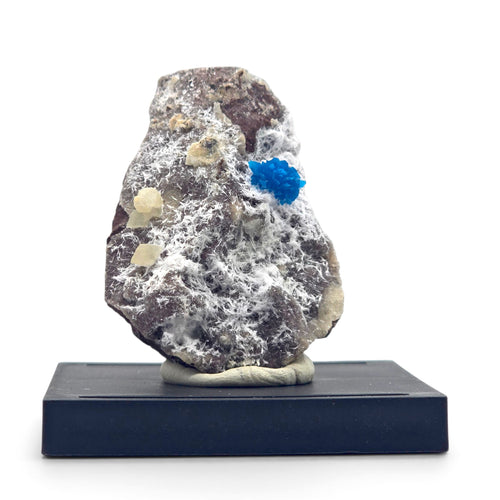 Front view of bright blue cavansite with white fibrous and cream crystals on reddish-brown matrix