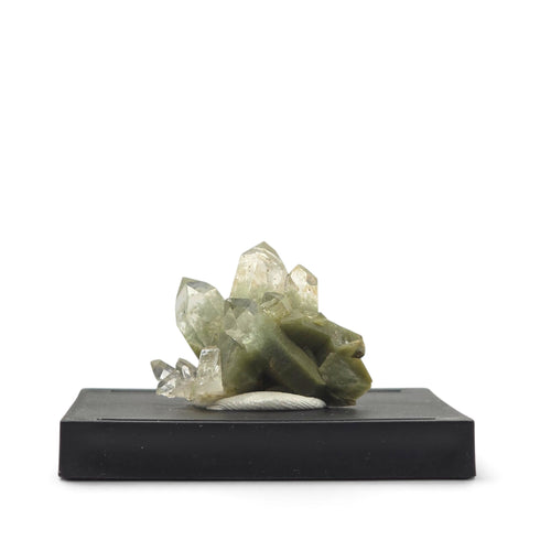 Front view of pale green chlorite-included quartz crystals mounted on a black display base