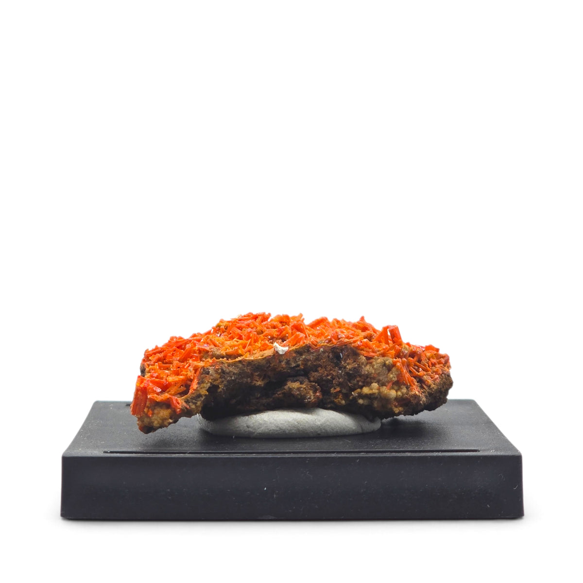 Front view of vivid orange-red crocoite crystals covering brown matrix on a black display base