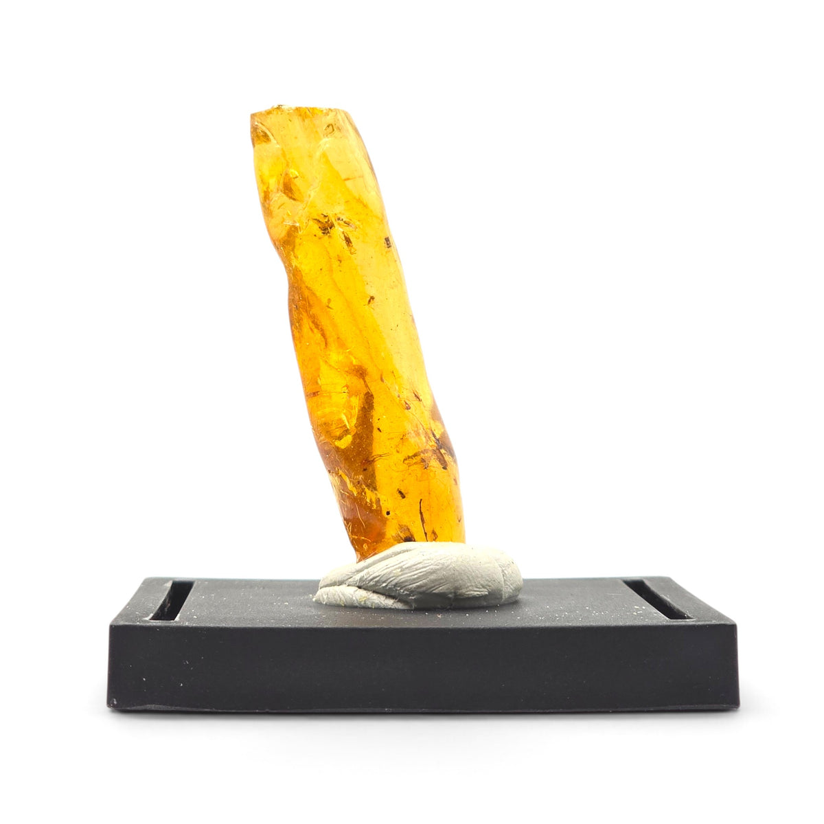 Side view showing the curved elongated profile of the polished yellow amber specimen