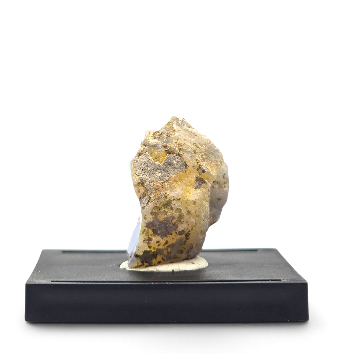 Rear-side view of the rough opal showing tan-brown host material and a narrow pale opal edge