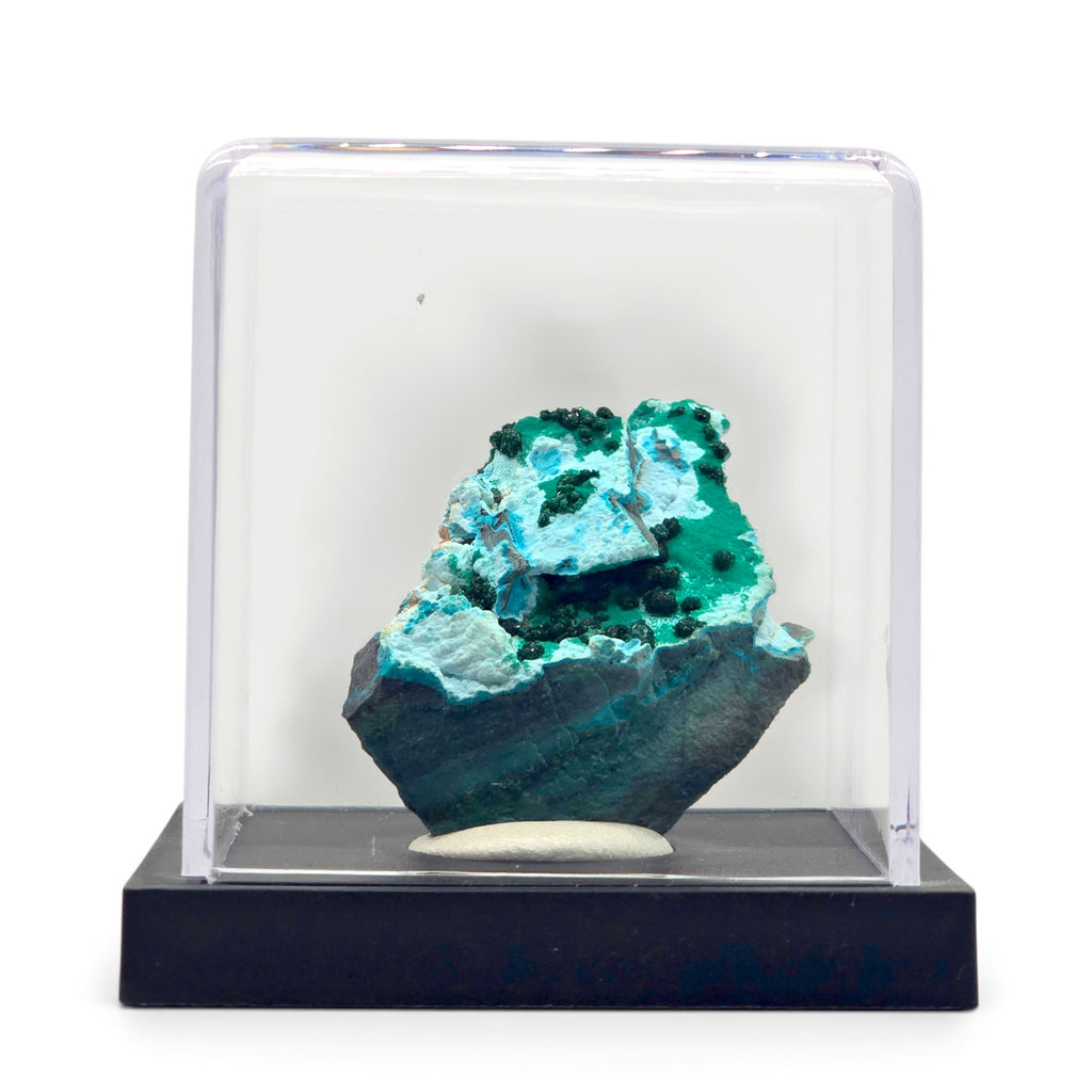 Malachite and chrysocolla miniature shown beneath a clear acrylic display cover