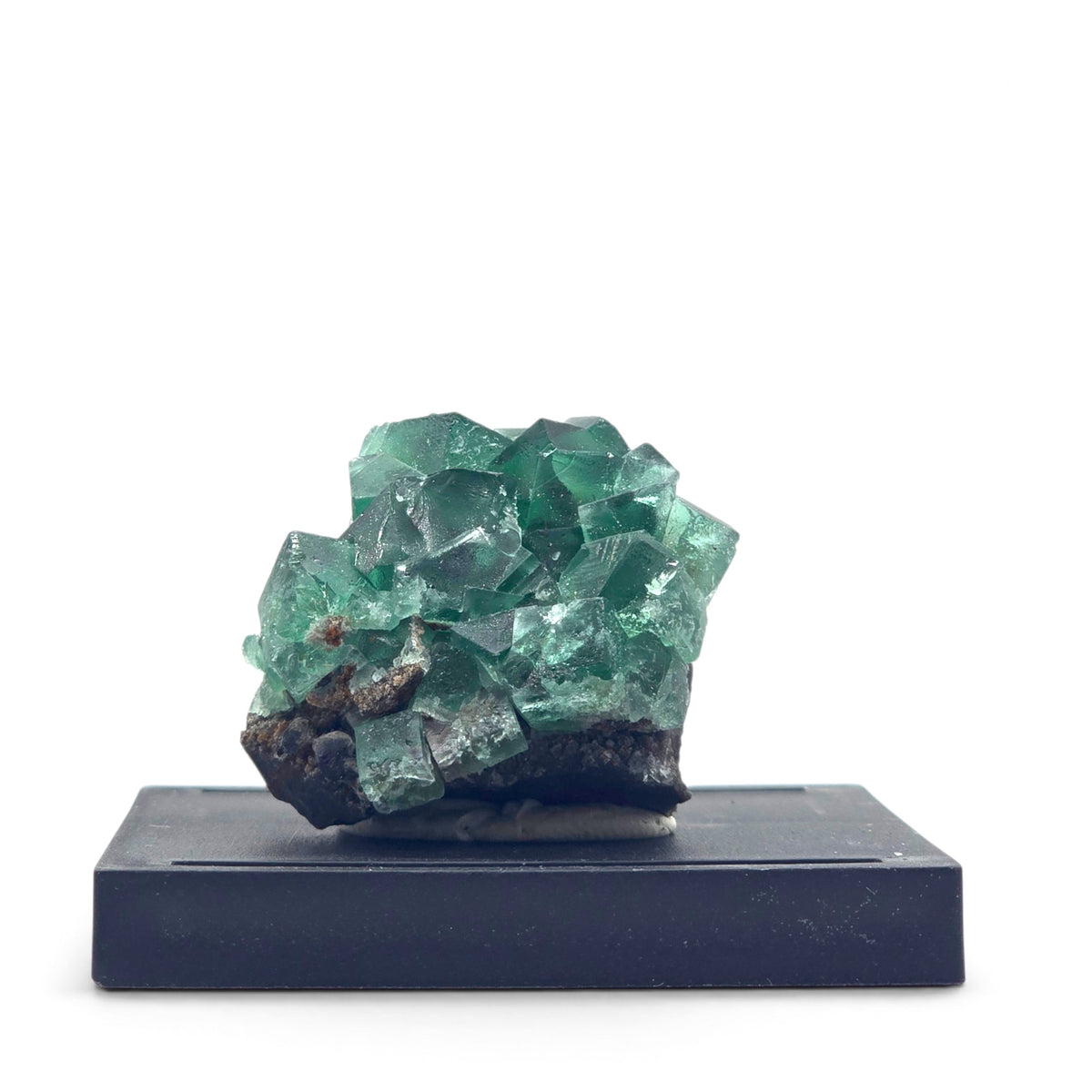 Front view of green cubic fluorite crystals on dark matrix mounted on a black base